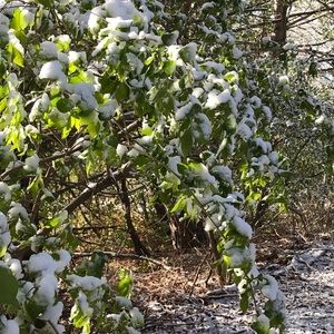 Meet your Posher, Carla